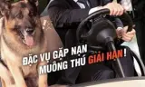 Quý Ông Sở Thú