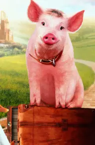 Babe: Chú Heo Trong Thành Phố