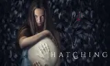 Hatching