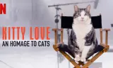 Kitty Love: Mèo Cưng Nhà Mình