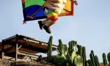 Jackass 4.5