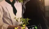 Tình Yêu Này Không Có Đậu Đũa
