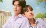 Cây Cam ở Nhà Cậu ấy Nhưng Quả Cam Luôn Rơi Sang Nhà Tôi