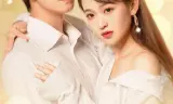 Bạn Trai Hợp Đồng