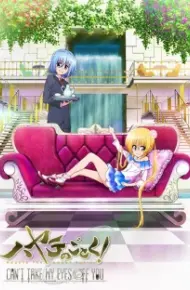 Hayate No Gotoku! Can'T Take My Eyes Off You