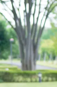 Người Yêu Dấu Nhất