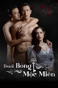 Dưới Bóng Mộc Miên