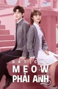 Bất Cẩn Meow Phải Anh