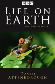 Life On Earth