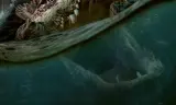 The Flood