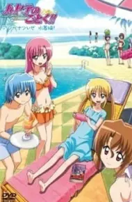 Hayate No Gotoku!!: Atsu Ga Natsuize - Mizugi-Hen!