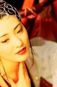 Tân Kim Bình Mai
