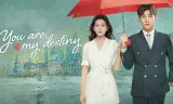 Định Mệnh Anh Yêu Em