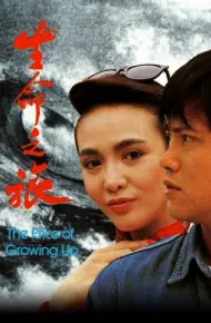 Định Mệnh (1987)