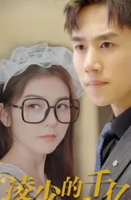 Tình Yêu Tỷ Đô Của Thiếu Gia Lăng