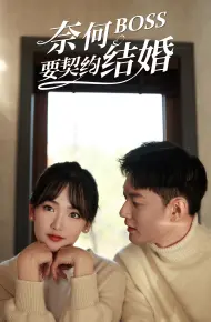 Tại Sao Sếp Muốn Kết Hôn Hợp Đồng