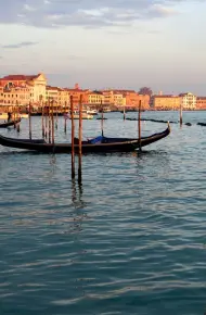 Thiên Nhiên Hoang Dã Venice