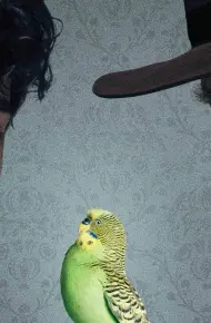 Một Tuần Để Chết
