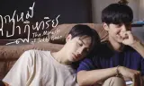 Chú Gấu Bông Kỳ Diệu