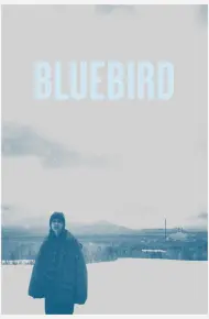 Bluebird