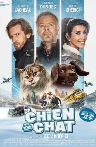Mèo Và Chó
