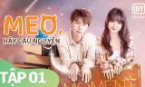 Meo, Hãy Cầu Nguyện