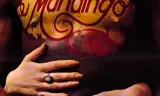Mandingo