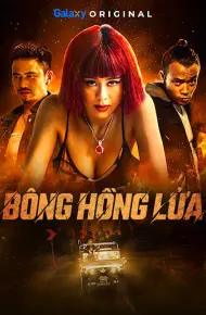 Bông Hồng Lửa