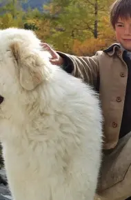 Tình Bạn Của Belle Và Sebastian