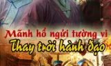 Mãnh Hổ Ngửi Tường Vi: Thay Trời Hành Đạo