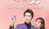 Làm Sao, Boss Lại Làm Sao Nữa?