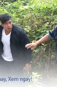 Bản Năng Thép