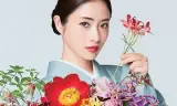 Nàng Hoa Trên Đỉnh Núi
