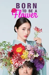 Nàng Hoa Trên Đỉnh Núi