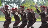 Di Sản Lính Cứu Hỏa