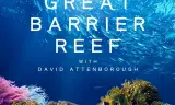 Khám Phá Rạn San Hô Great Barrier Cùng David Attenborough