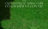 Hot Boy Nổi Loạn Và Câu Chuyện Về Chằng Cười, Cô Gái Điếm Và Con Vịt