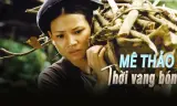 Mê Thảo Thời Vang Bóng