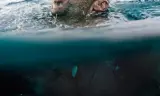 Đơn độc Trên Con Sóng