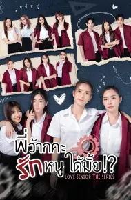Love Senior: Tiền Bối Kỷ Luật Yêu Em Được Không?