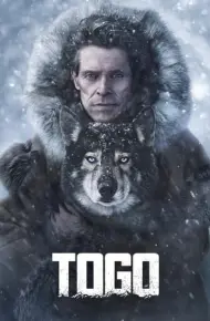 Chú Chó Togo