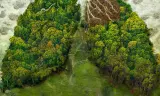 David Attenborough: Một Cuộc đời Trên Trái Đất