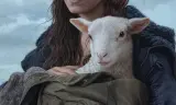 Lamb