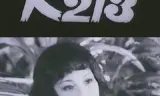 Người Mang Mật Danh K213