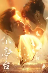 Tiểu Đình Đài