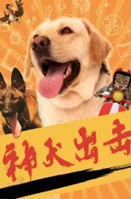 Thần Chó Tấn Công