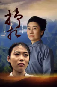 Vẫy Vùng