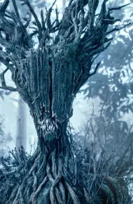 The Witcher Bestiary Season 2