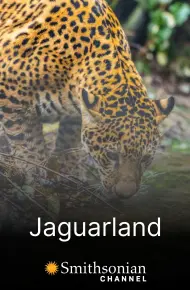 Jaguarland