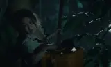 Lá Phiếu
